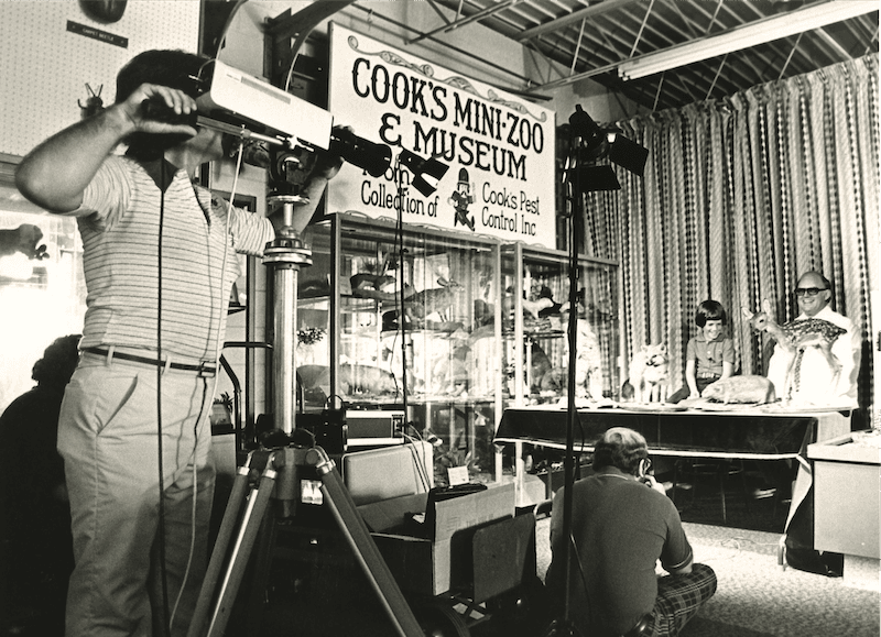 vintage photo of Cook's mini-zoo and museum