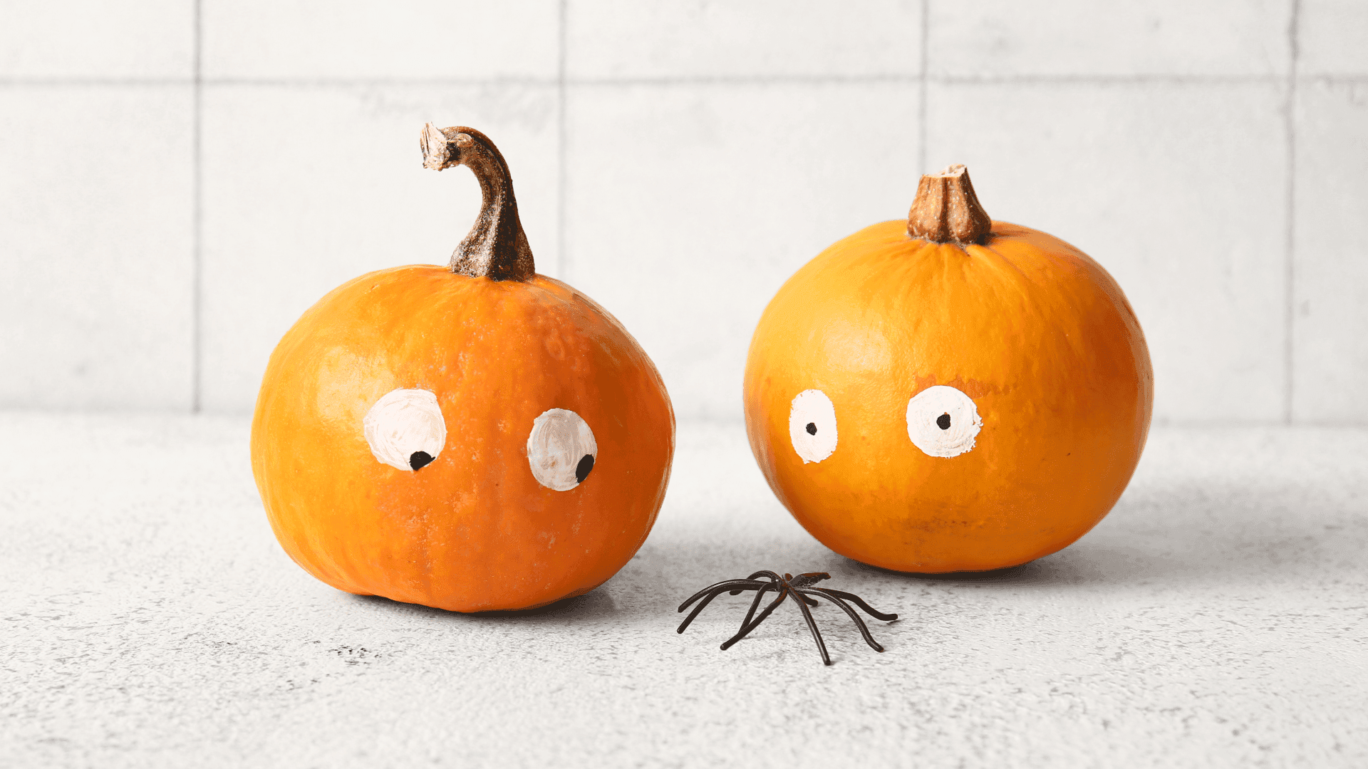 A decorative pumpkin with toy spiders, symbolizing spooky fall décor and spider awareness in homes.