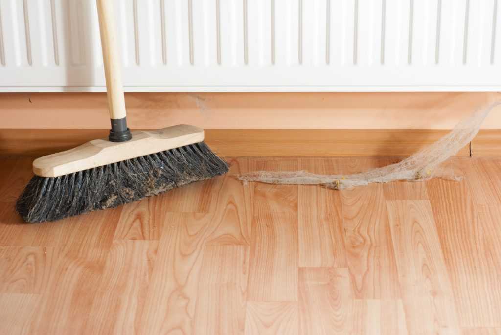 Image showing Get a Jump Start On Your Spring Cleaning To Make Your Home Less Attractive to Bugs.